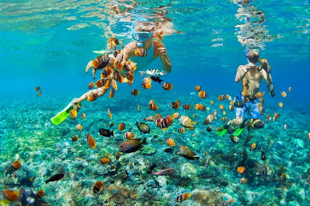 Mnemba Island Snorkeling Tour overview photo 2